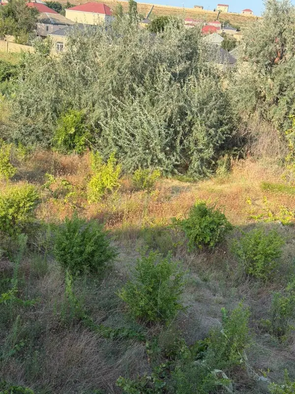 Satılır torpaq sahəsi 10 m²