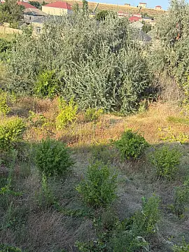 Satılır torpaq sahəsi 10 m² — Sumqayıt 10.00 m²