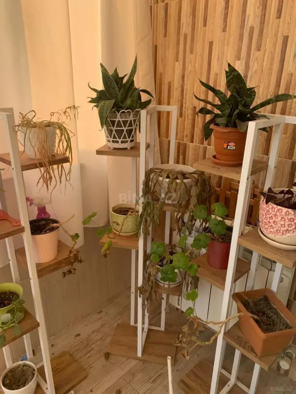 Satılır 3 otaqlı mənzil 113 m²