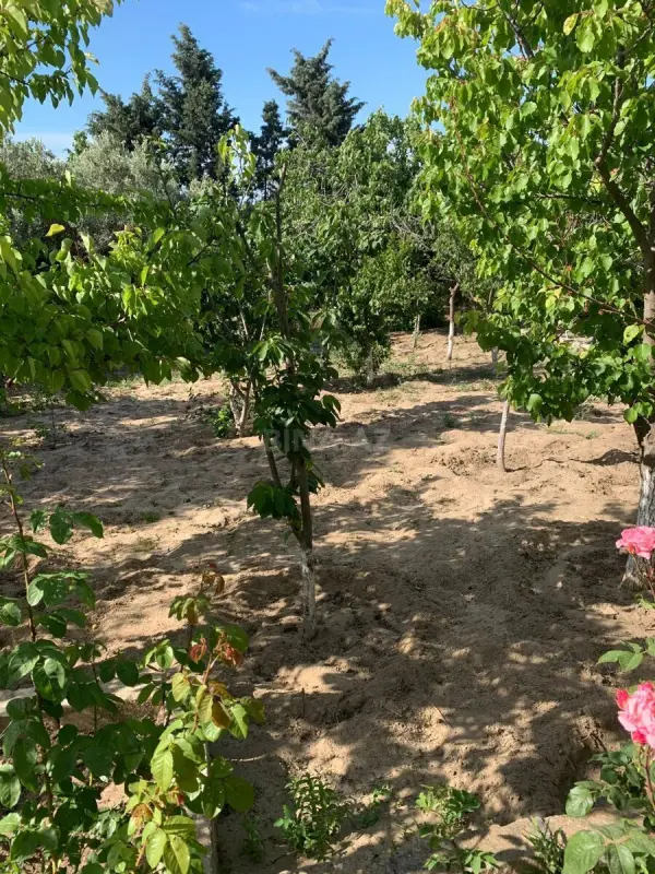 Satılır torpaq sahəsi 12 m²