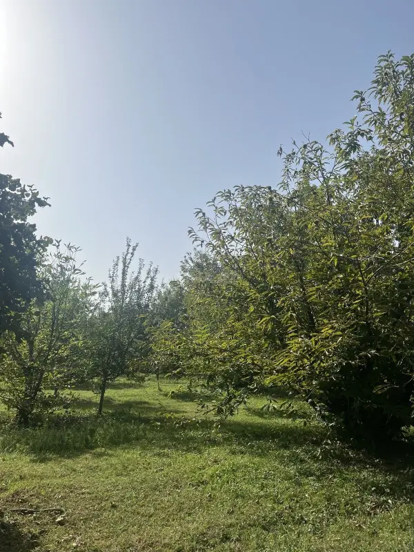 Satılır torpaq sahəsi 10 m²