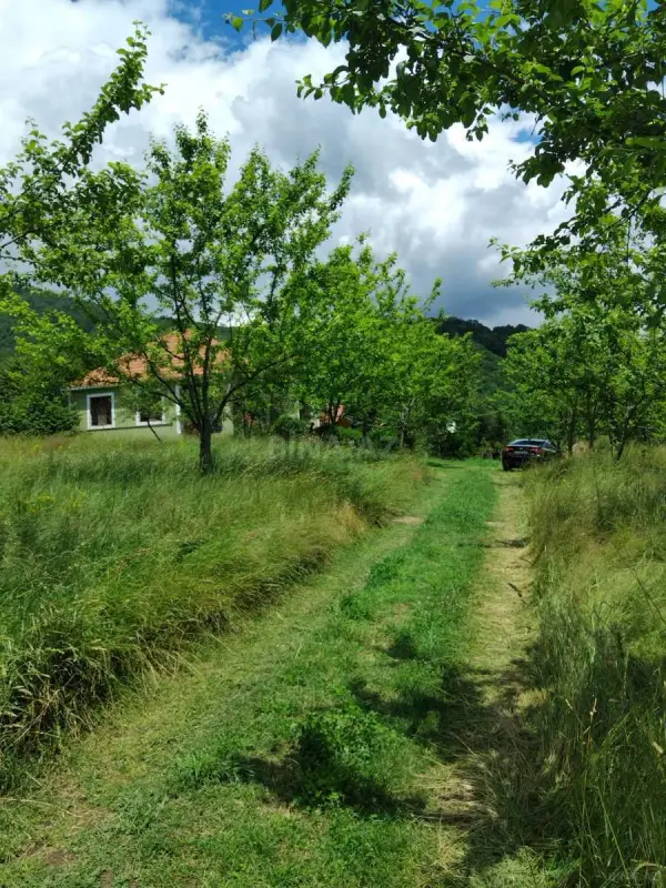 Kirayə verilir 3 otaqlı həyət evi 100 m²