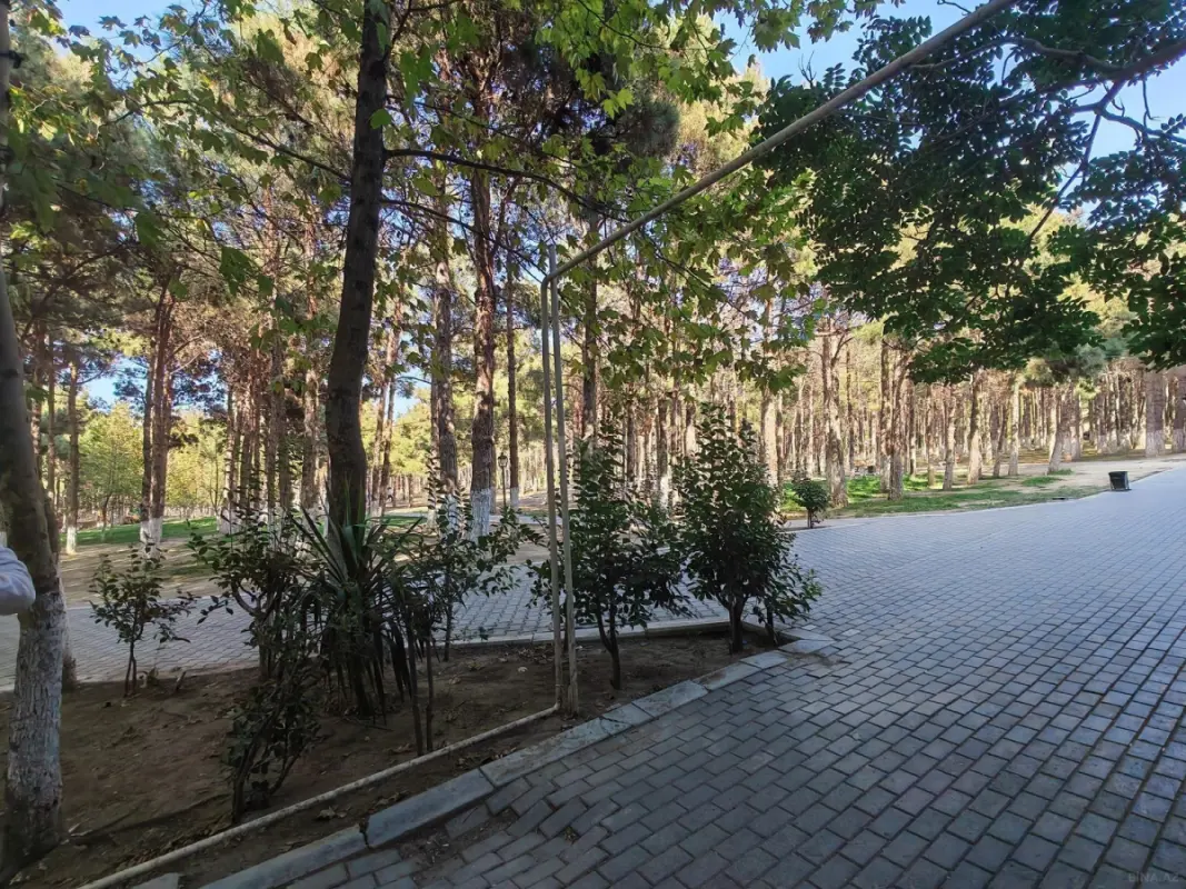 Kirayə verilir obyekt 23 m²
