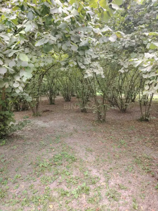Satılır torpaq sahəsi 22 m²