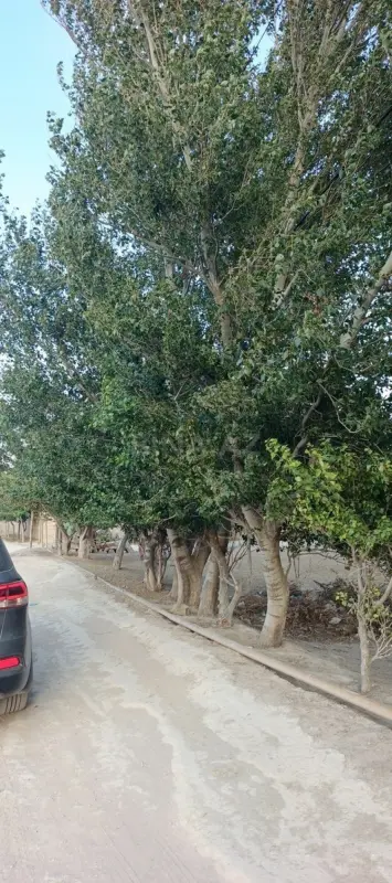 Satılır torpaq sahəsi 14 m²
