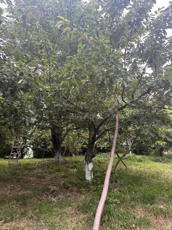 Satılır torpaq sahəsi 10 m²