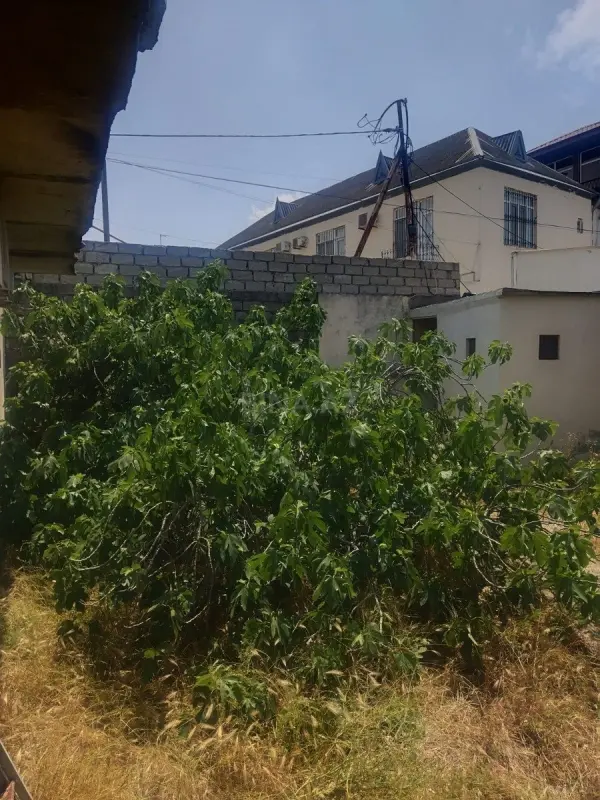 Satılır 2 otaqlı həyət evi 91 m²