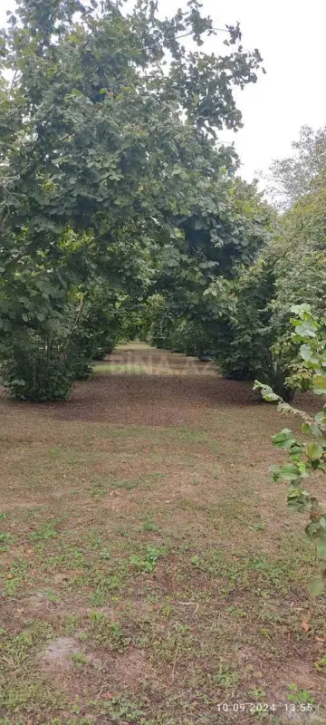 Satılır torpaq sahəsi 80 m²