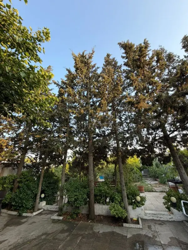 Satılır 3 otaqlı həyət evi 54 m²