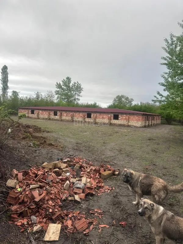 Satılır obyekt 25000 m²