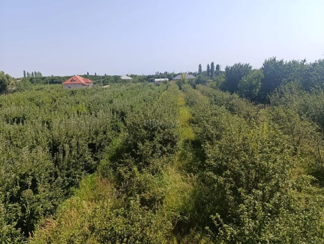 Satılır torpaq sahəsi 14 m²