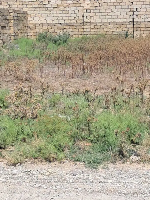 Satılır torpaq sahəsi 8 m²