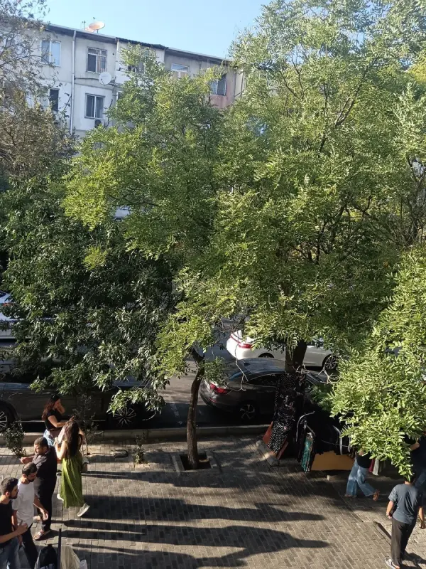 Kirayə verilir 2 otaqlı mənzil 40 m²