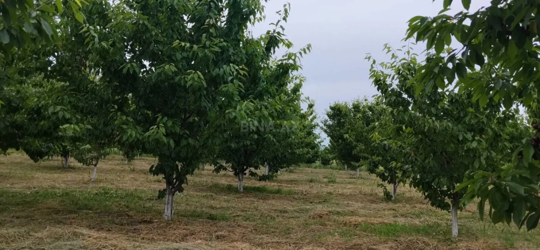 Satılır torpaq sahəsi 2 m²