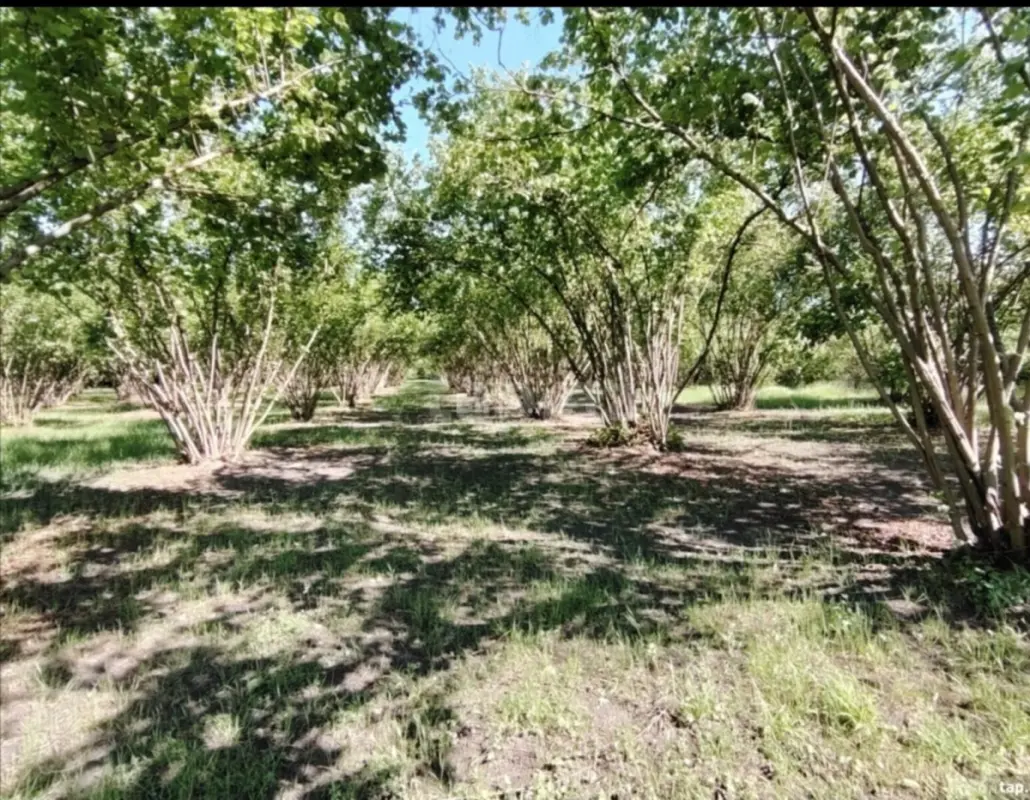 Satılır torpaq sahəsi 100 m²