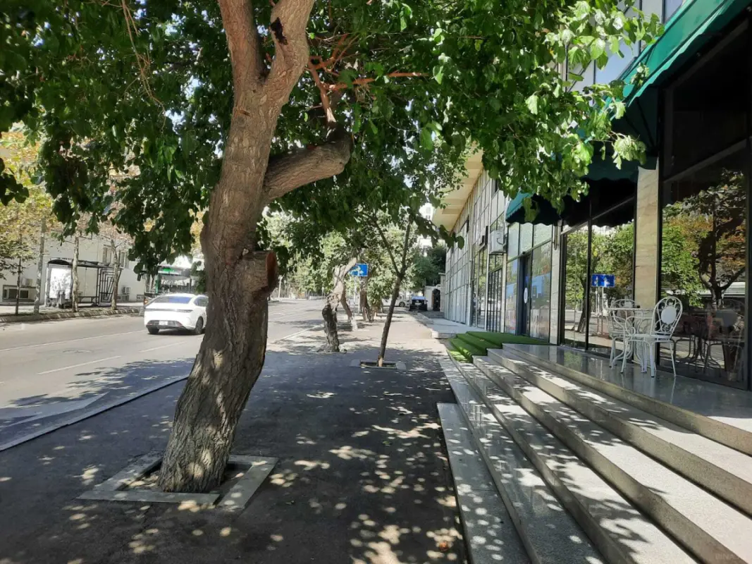 Satılır obyekt 600 m²