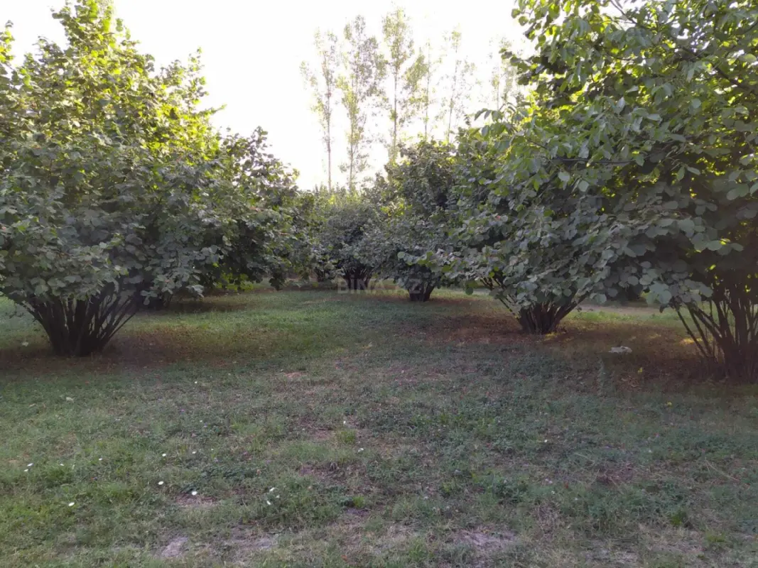 Satılır torpaq sahəsi 28 m²