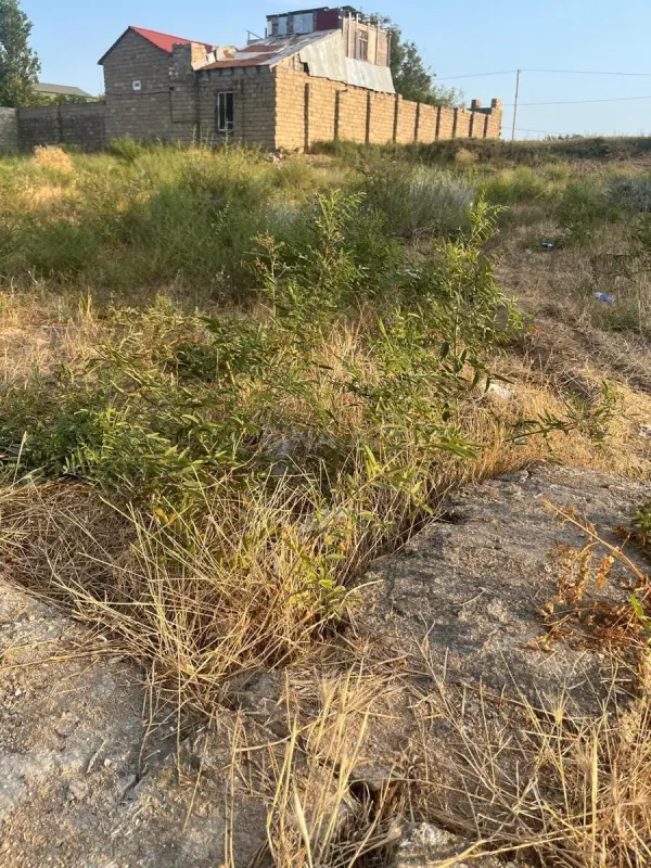 Satılır torpaq sahəsi 5 m²