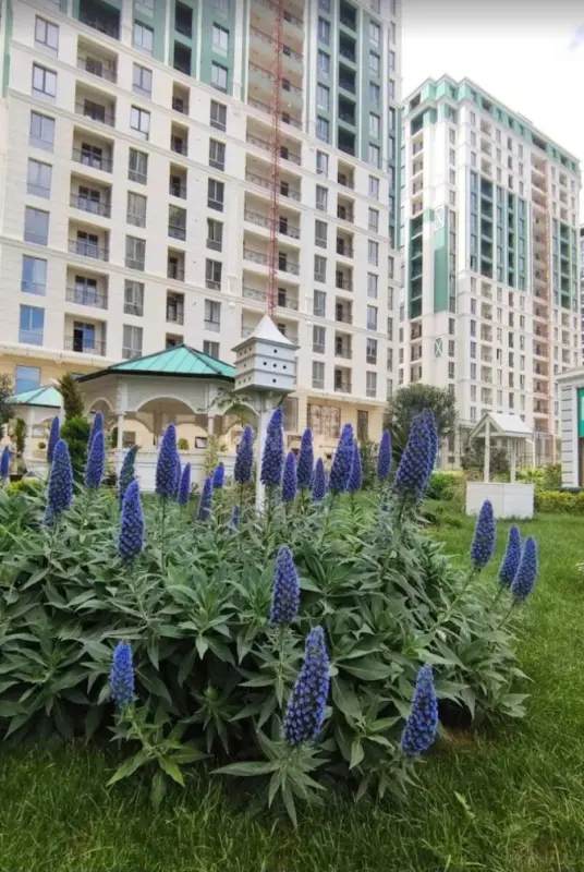 Satılır 3 otaqlı mənzil 100 m²