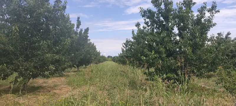 Satılır torpaq sahəsi 231 m² — Qusar 231.00 m²