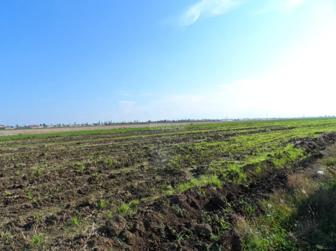 Satılır torpaq sahəsi 646 m²
