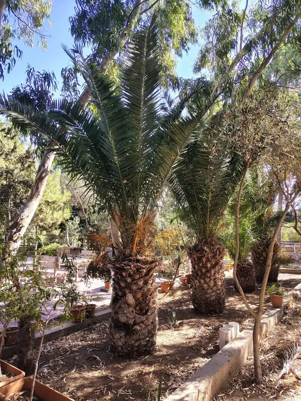Satılır 7 otaqlı həyət evi 170 m²
