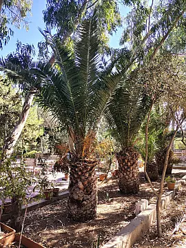 Satılır 7 otaqlı həyət evi 170 m² — Bakı, Nardaran 7 otaq 170.00 m²