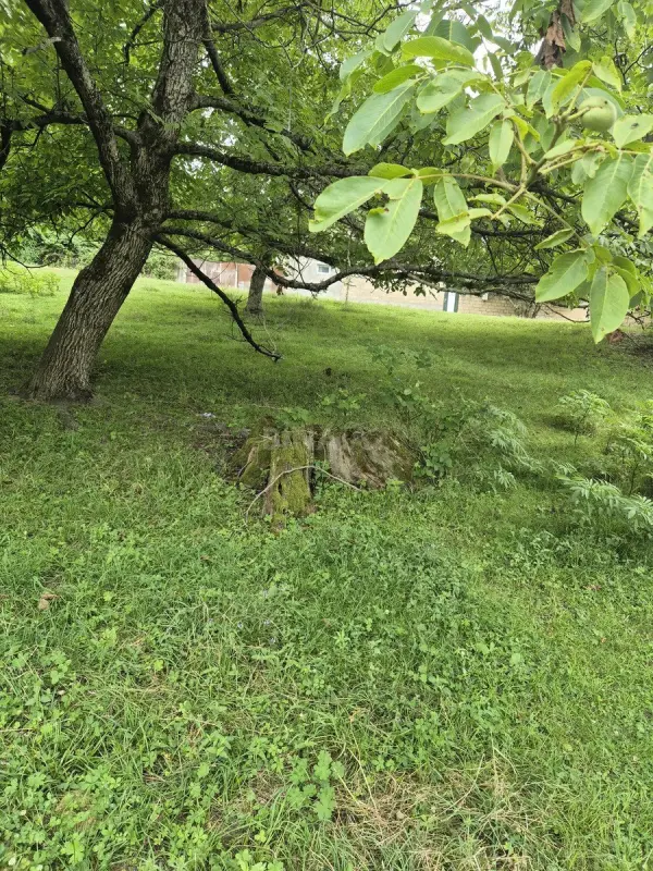 Satılır torpaq sahəsi 5.5 m²