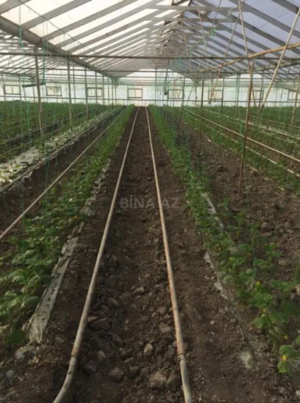 Satılır obyekt 60000 m²
