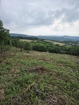Satılır torpaq sahəsi 24 m² — Şabran 24.00 m²