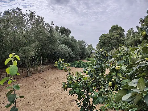 Satılır torpaq sahəsi 12 m² — Bakı, Nardaran 12.00 m²