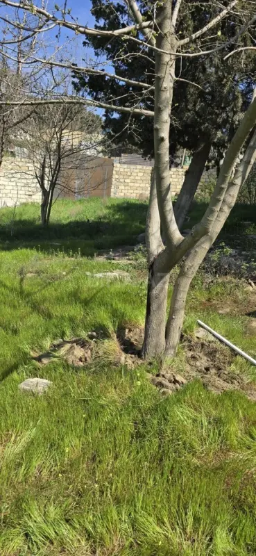 Satılır torpaq sahəsi 9 m²