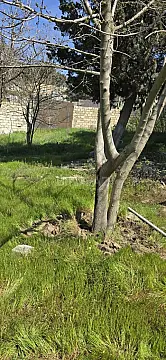 Satılır torpaq sahəsi 9 m² — Bakı 9.00 m²