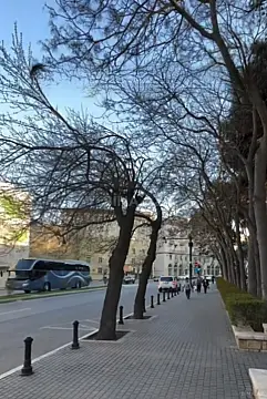 Satılır 2 otaqlı mənzil 55 m² — Bakı, Nizami 2 otaq 55.00 m²