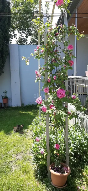 Satılır 6 otaqlı həyət evi 220 m²