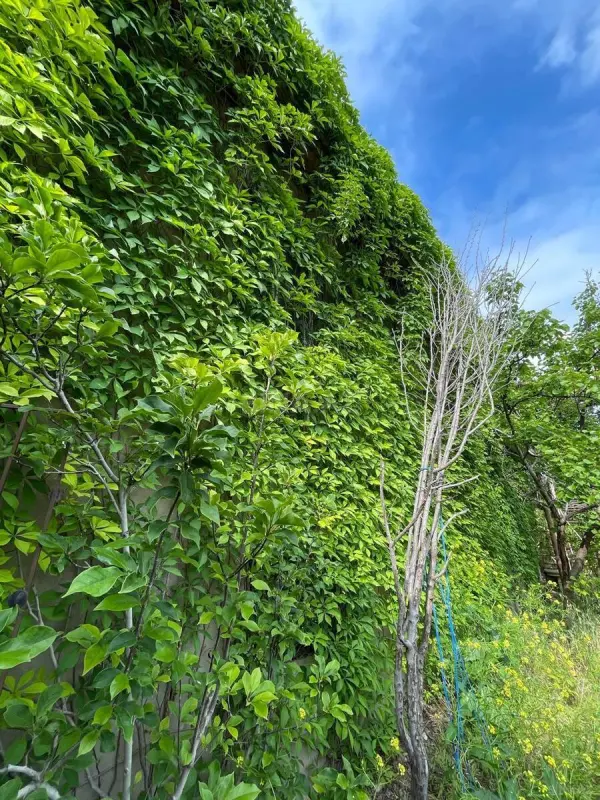 Satılır 8 otaqlı həyət evi 200 m²