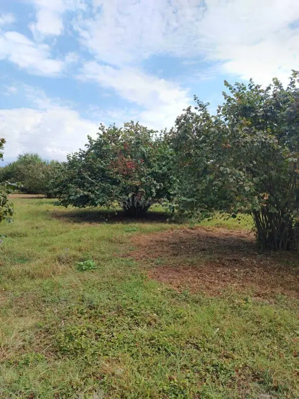 Satılır torpaq sahəsi 120 m²