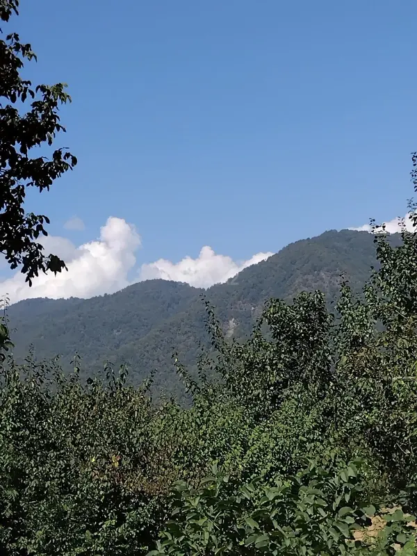 Satılır torpaq sahəsi 40 m²