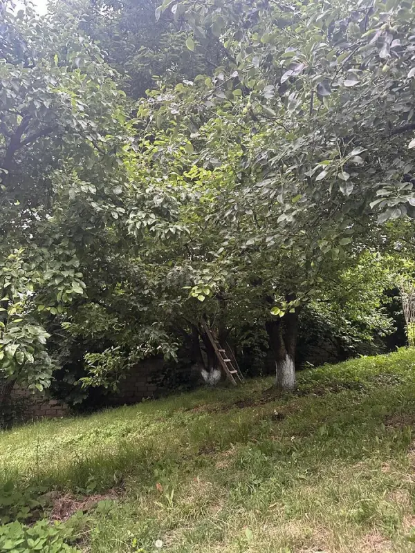 Satılır torpaq sahəsi 10.5 m²