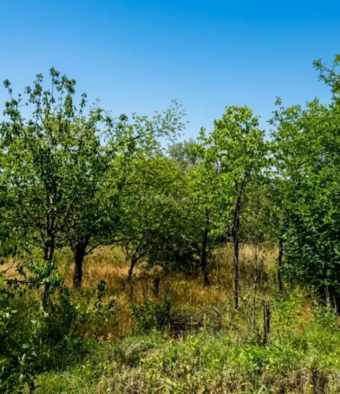 Satılır torpaq sahəsi 23 m²