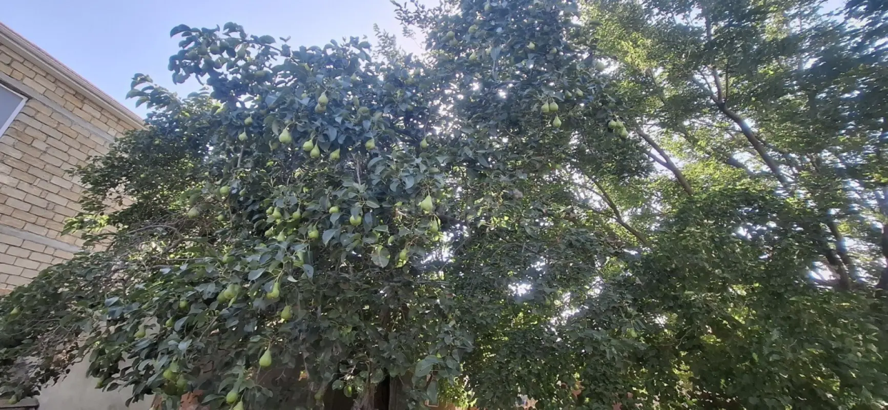 Satılır torpaq sahəsi 10 m²