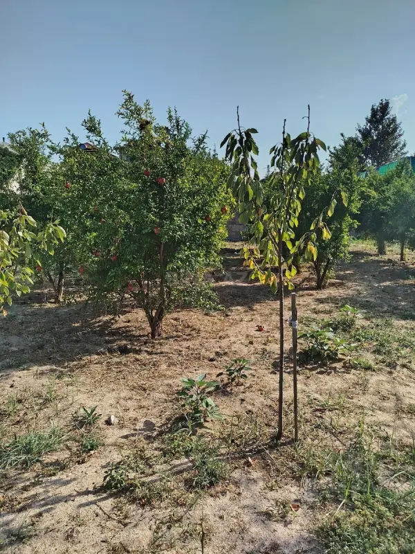 Satılır torpaq sahəsi 2.5 m²