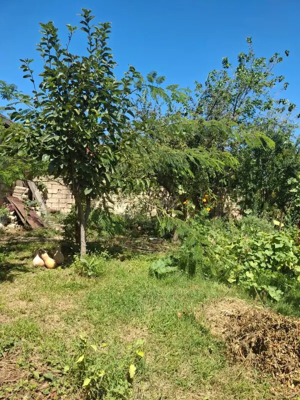 Satılır torpaq sahəsi 12 m²