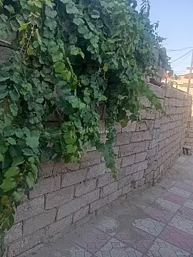 Satılır 3 otaqlı həyət evi 95 m² — Bakı, Əhmədli 3 otaq 95.00 m²