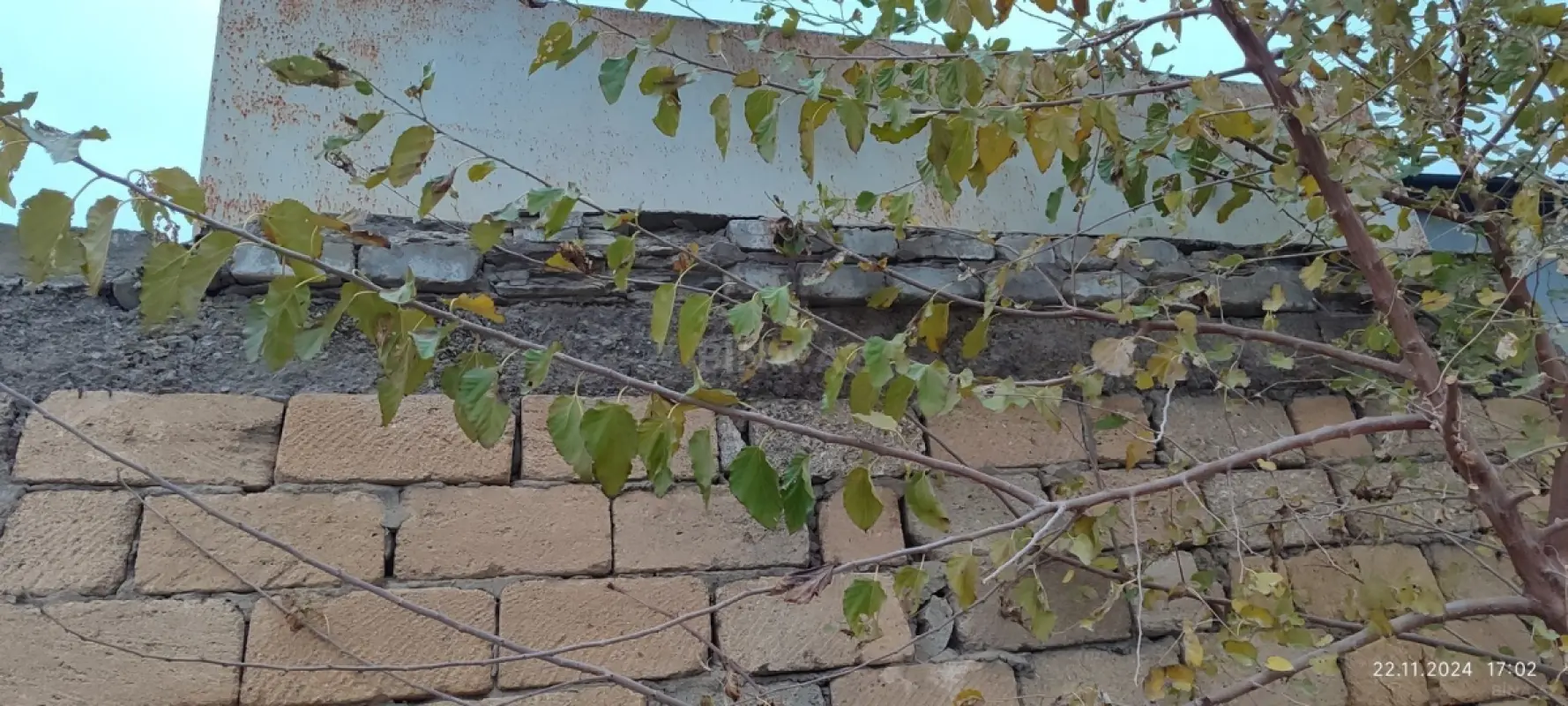Satılır 3 otaqlı həyət evi 1200 m²