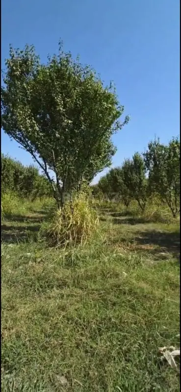 Satılır torpaq sahəsi 200 m²