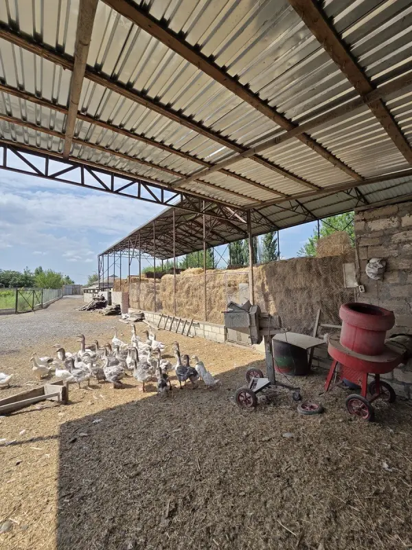 Satılır obyekt 10000 m²