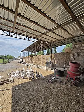 Satılır obyekt 10000 m² — Beyləqan 10000.00 m²
