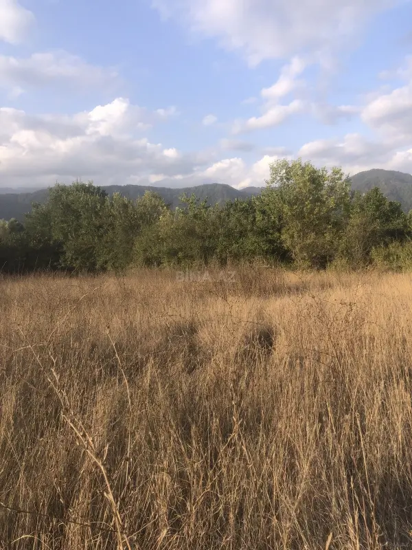 Satılır torpaq sahəsi 50 m²