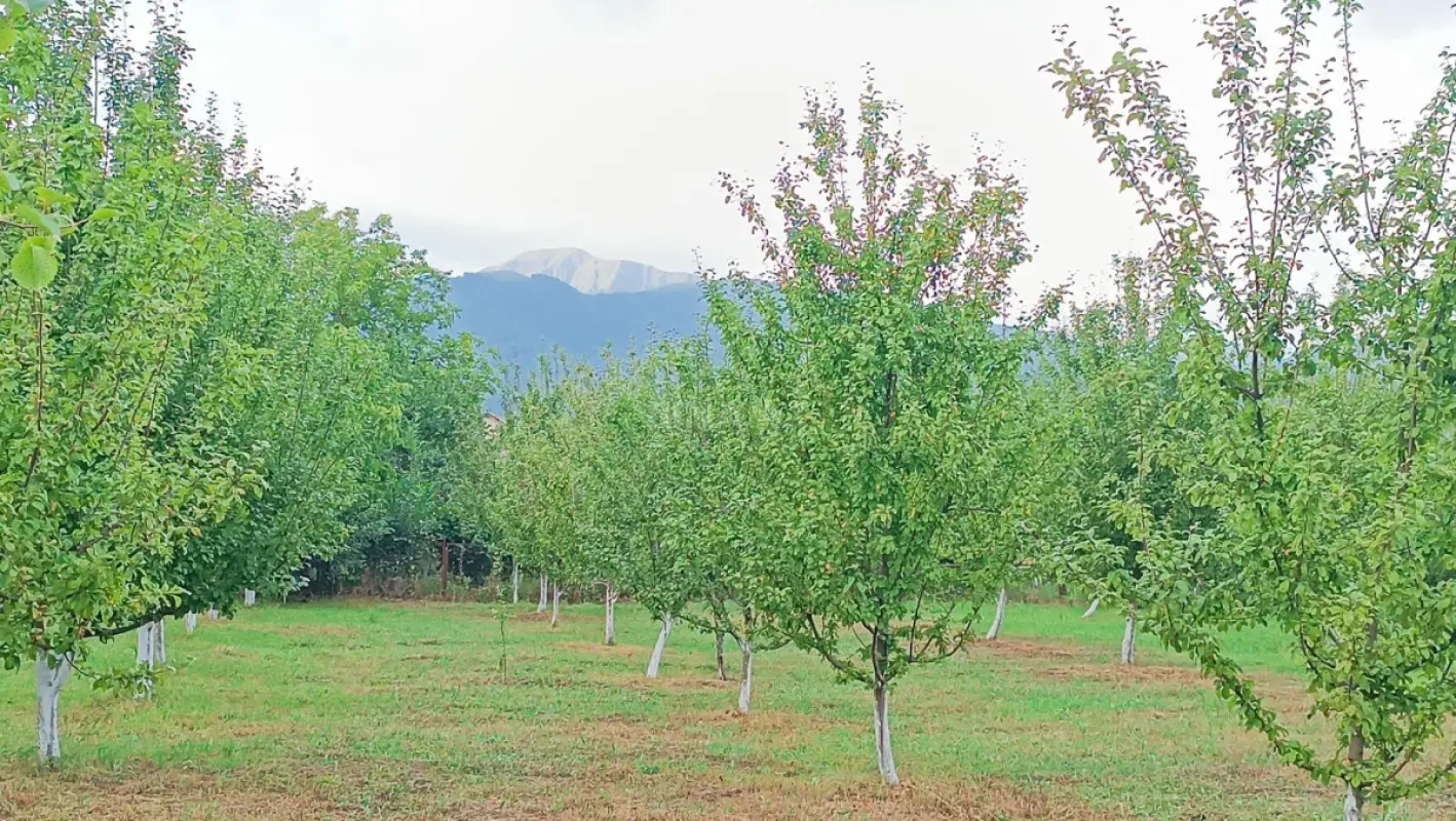 Satılır torpaq sahəsi 35 m²